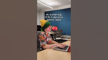 Quick fixes for small bugs? Nonexistent.