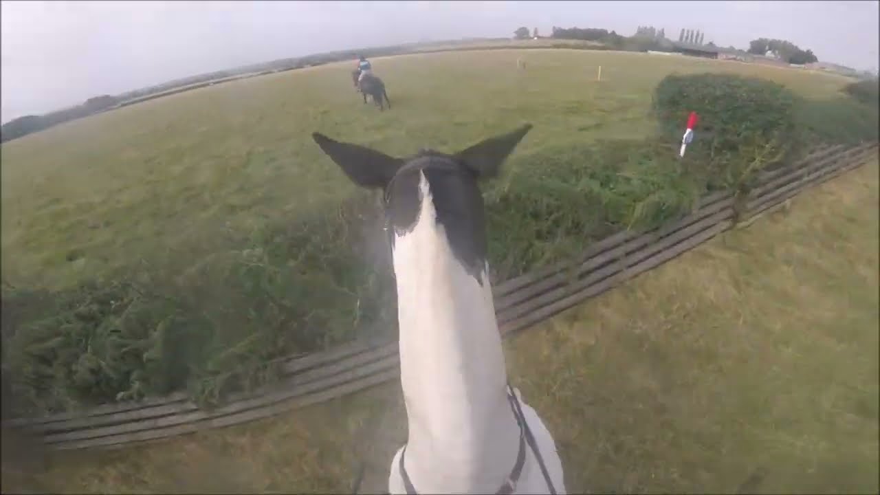 Warwickshire Novice Team Chase 2024 - Evilly