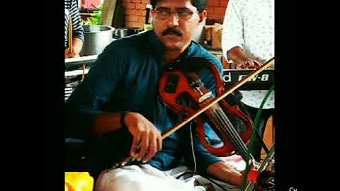 Thaane Thirinjum Marinjum Violin Cover  by Pradeep Cheppad