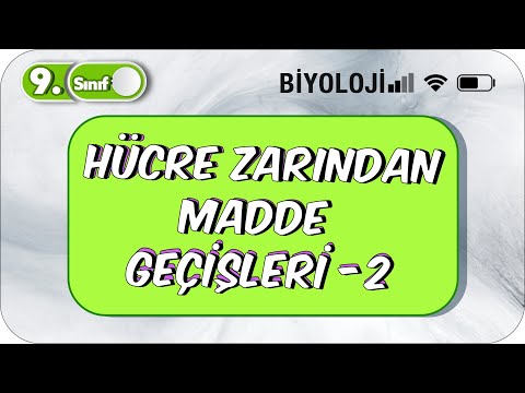 Hücre Zarından Madde Geçişleri - 2 | Öğrenme Garantili Özet Anlatım  #2023