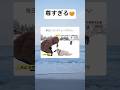 わんこにインタビューするお姉さんがとにかく癒される #shorts #癒し動画 #犬