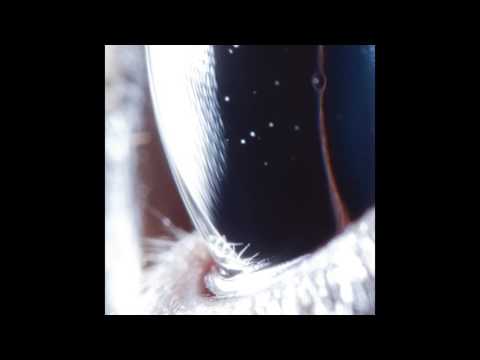Roly Porter — Roly Porter - Blind Blackening