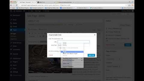 How to Add a Link in WordPress - WordPress Basics