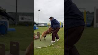 Muzzle guard- Fritz, second time