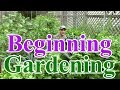 Beginning gardening series 1 best location for a vegetable garden