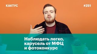 Наблюдать легко, карусель от МФЦ и фотоконкурс