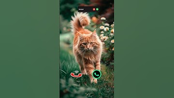 #smartphone #ringtone #tech #call #ringtones #iphone #mobiletech #innovation #unveiling #iphone15