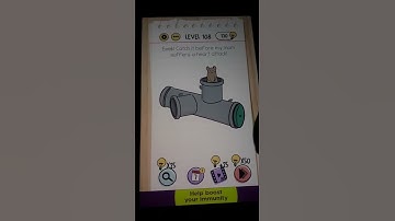 Brain Test Level 108 Catch it before my mom suffers a heart attack