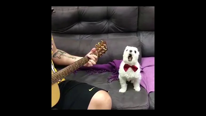 Asking Alexandria - Final Episode (Let's Change The Channel) (Unofficial Music Video / Fan Clip)