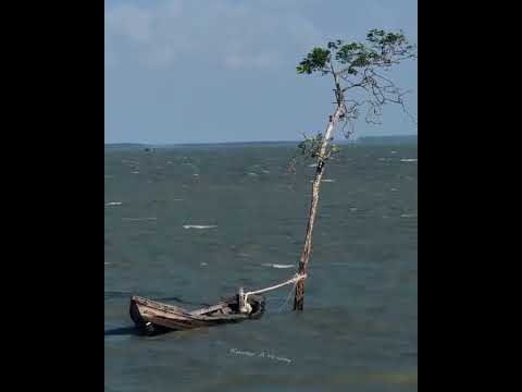 Floating Boat On The River 