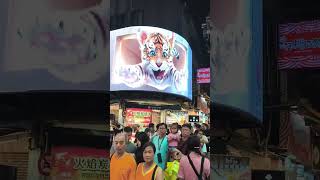Amazing night market 🇹🇼 #taiwan #travel #taipei #india #viral #animals #youtubeshorts #you