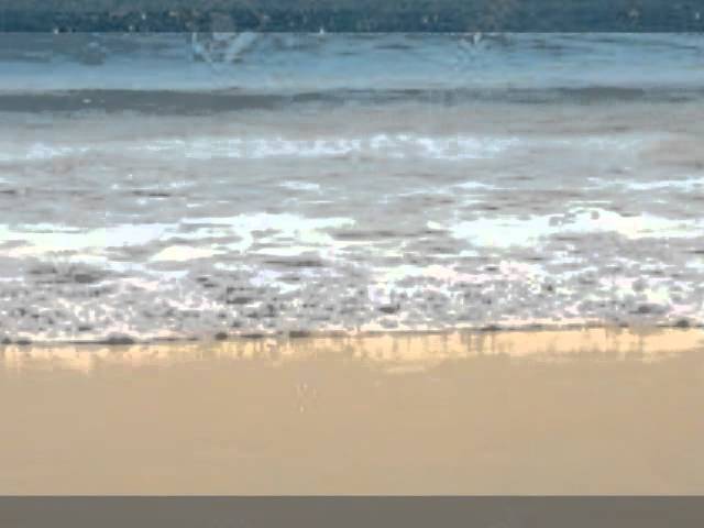 PACING THE CAGE BRUCE COCKBURN AND MICHAEL OCCHIPINTI