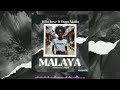 Dillu Love Ft Dogo Mallo MALAYA Official Audio New Song 