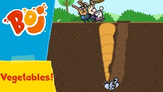 Boj - Growing Your Own Vegetables! 🥕 | Full Episodes | Cartoons for Kids