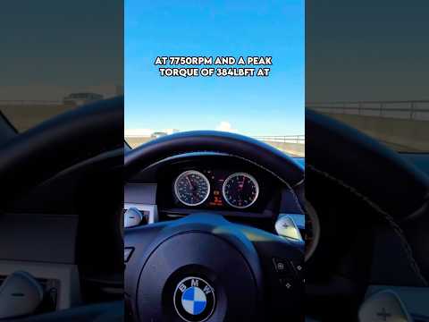 The BMW S85