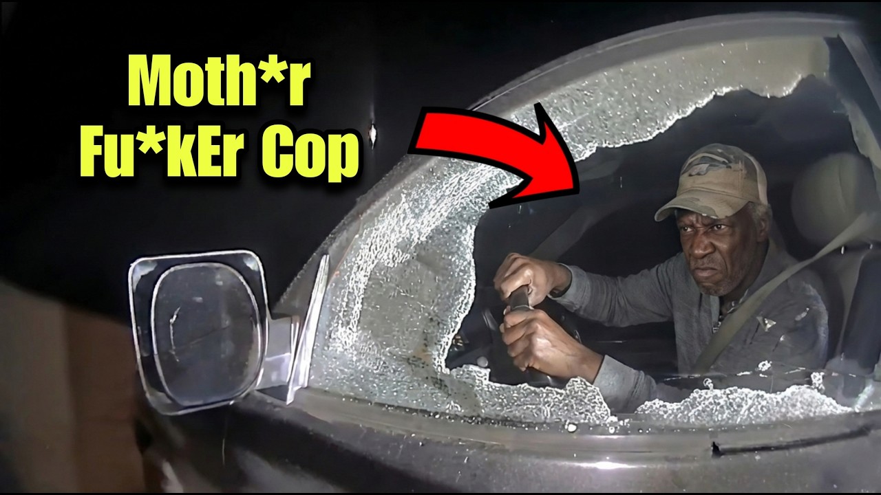 He Refused to Show ID Over a Turn Signal - Police Smashed His Window & Tased Him