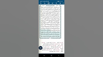 سورة الأنعام آية(١٤٦)