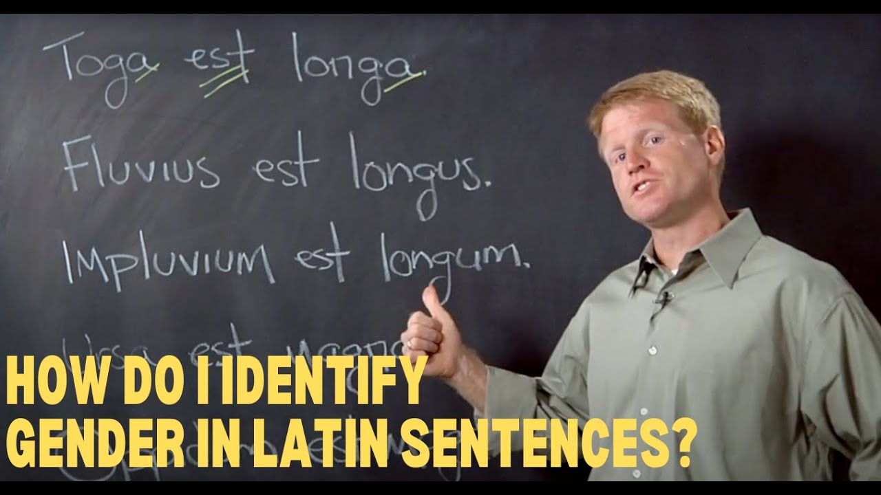 How do I identify Gender in Latin sentences? The Best Homeschool