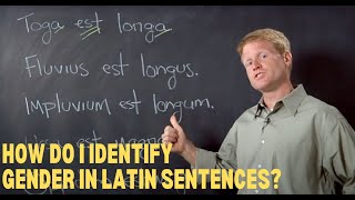 How do I identify Gender in Latin sentences?  | The Best Homeschool Latin Curriculum