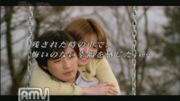 韓国映画 「愛と、死を見つめて」 日本語版予告編