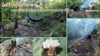 Ep.21 เดินป่าทำอาหาร นอนพักผ่อนสูดบรรยากาศชิวๆ #เดินป่า #เอาชีวิตรอด #trekking #เข้าป่า #ป่าเขา