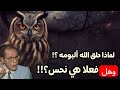 د مصطفى محمود لماذا خلق الله البومة وهل هي فعلا نحس 6 صفات مدهشة تميز البومة ١٦ أغسطس ٢٠٢٥ د مصطفى محمود لماذا خلق الله البومة وهل هي فعلا نحس 6 صفات مدهشة تميز البومة ١٦ أغسطس ٢٠٢٥