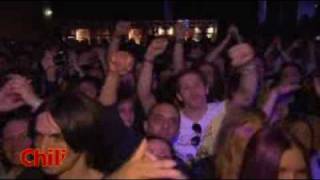 Orf 1 Chili - Society Mit Dominic Heinzl 2010