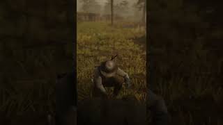 Bear outside of Saint Denis (RDR2)
