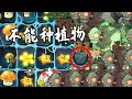 植物大戰殭屍TAT版：眾所周知，礦車不能種植物！