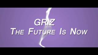 GRiZ - The Future Is Now