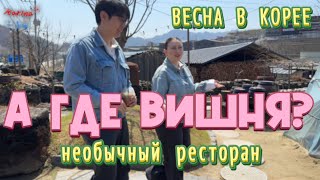 :    /   2025  / KOREA VLOG