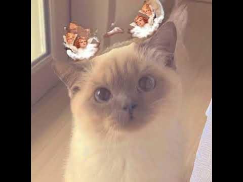 #фото из Пинтерест # - YouTube