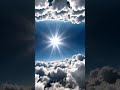 EXPLORATION VISUELLE : Une Immersion Totale entre Nature et Émotion