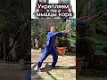 Мышцы кора — это не пресс кубиками, а глубокий мышечный корсет, который держит всё тело