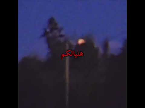 هنيالكم عندكم كلب ينسى العشك ذوق 