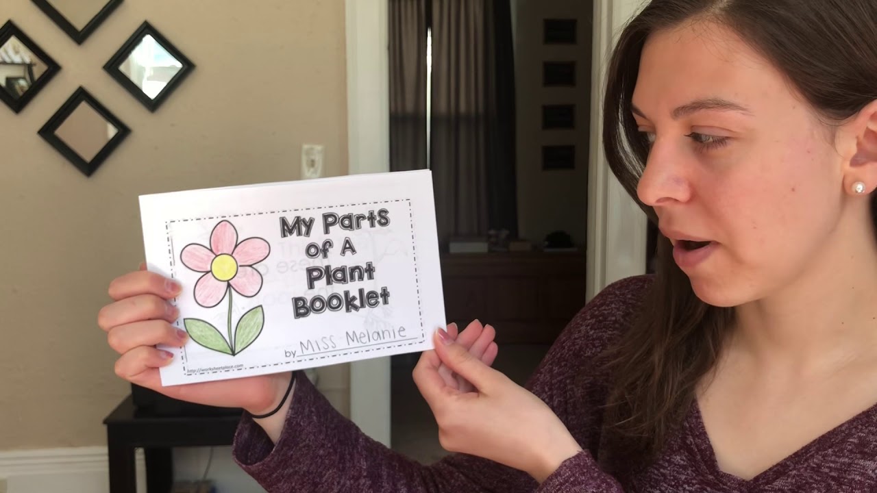 My Parts Of A Plant Read Aloud YouTube
