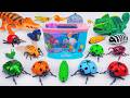 ZURU ROBO ALIVE COLLECTION | UNBOXING RC Snake, New Robo Lizards Insect creepers, Aquarium ASMR