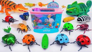 ZURU ROBO ALIVE COLLECTION | UNBOXING RC Snake, New Robo Lizards Insect creepers, Aquarium ASMR