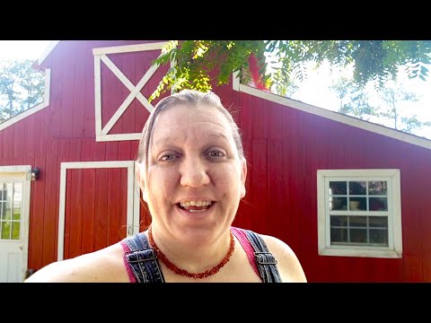 It's NOT Perfect! || Homestead and Garden Tour and Update!