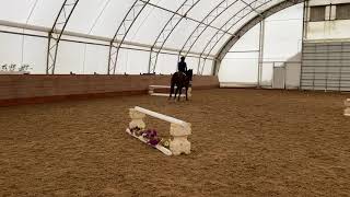 Amanda Conklin 2020 RRP application