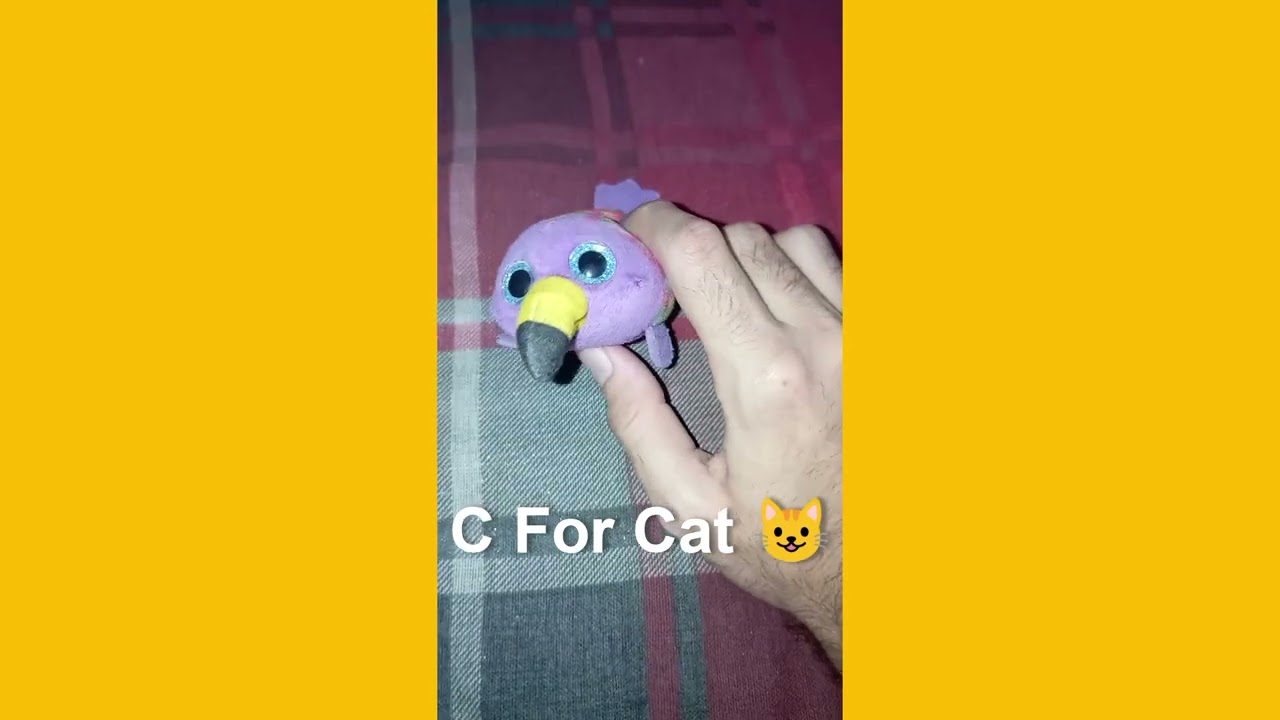 THE PURPLE PUPPET BIRD SHOW| EPISODE 08 | AZ ORIGINALS & AAJ ENTERTAINMENT 