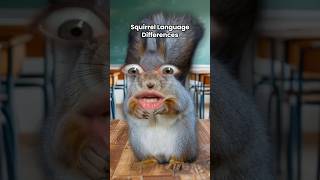 The Squirrelβs Identity Crisis
Multilingual squirrel canβt handle it anymore. π How do you say squirrel in your language?
#squirrel #polyglot #comedyshorts #languages #german #italian #french #romanian The Squirrelβs Identity Crisis