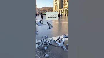 صلوا على النبي تيك توك 