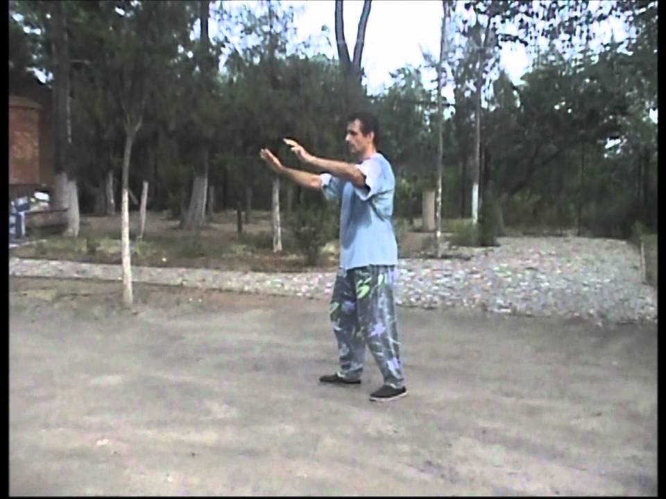 YI QUAN: Mo Ca Bu  Par / By Ilias Calimintzos