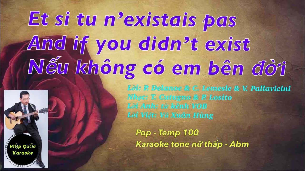 Et Si Tu N'existais Pas-And If You Didn't Exist-Nếu Không Có Em Bên Đời