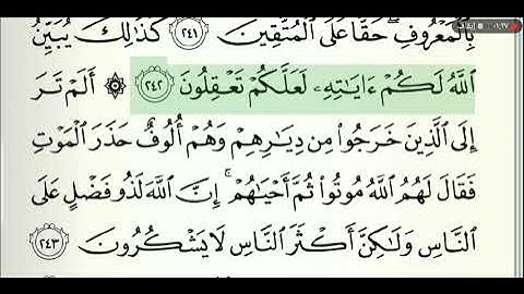 صفحة رقم 39 الشيخ وديع اليمني القرآن الكريم