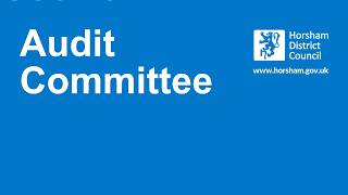 Audit Committee - 17 June 2026