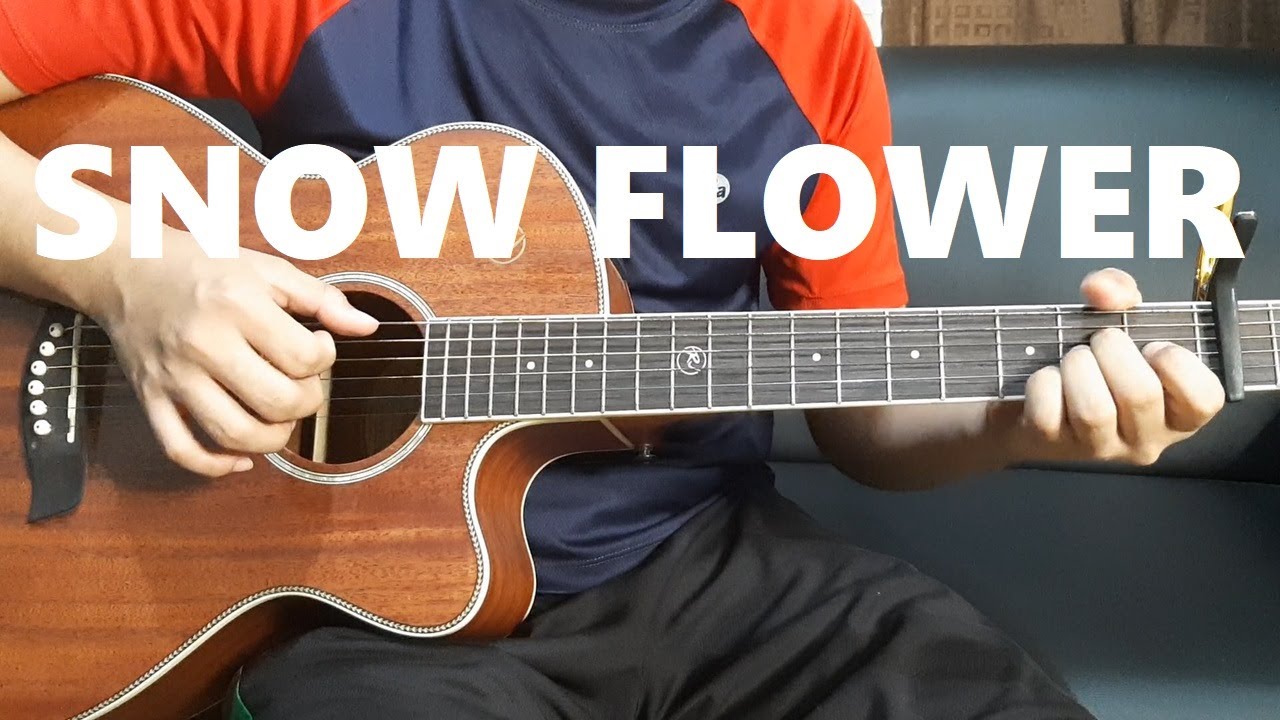 Snow Flower V (feat. Peakboy) Cover (Guitar Fingerstyle) YouTube