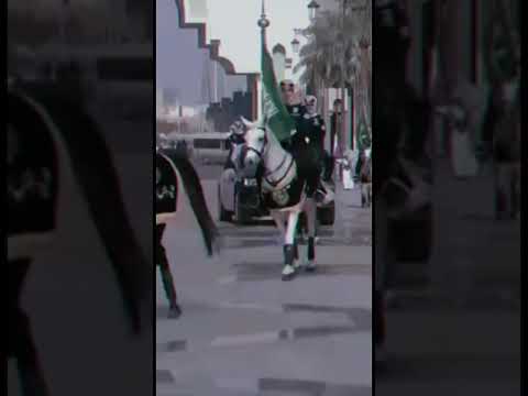خياله الحرس الملكي السعودي Horse خيل خيل عربي اصيل