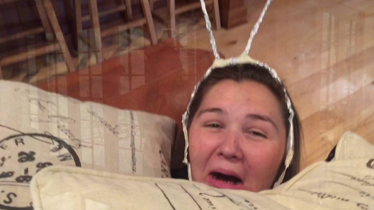 The Brown Garden Snail